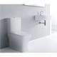 AZARIO Унитаз-компакт  Blaise 385х615х801 напольный, безободковый с быстросъемным сиденьем микролифт (AZ-55-1) AZ-55-1 - фото 303053