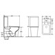 AZARIO Унитаз-компакт  VELISE 355х625x810 напольный, безободковый в комплекте с быстросъемным сиденьем микролифт (AZ-1222A) AZ-1222A - фото 303150