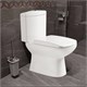 AZARIO Унитаз-компакт  ELANA 680х410х790 напольный, с сиденьем микролифт (AZ-234) AZ-234 - фото 303290