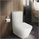 AZARIO Унитаз-компакт  Rise 385х623х792 напольный, безободковый с быстросъемным сиденьем микролифт (AZ-68D) AZ-68D - фото 303980