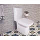 AZARIO Унитаз-компакт  Wandy 350х614х795 напольный, безободковый, с быстросъемным сиденьем микролифт (AZ-56D) AZ-56D - фото 303997