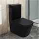 AZARIO Унитаз-компакт  Black King 370х640х810 безободковый, с быстросъемным сиденьем микролифт, черный матовый (AZ-8303D) AZ-8303D - фото 304417