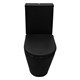 AZARIO Унитаз-компакт  Black Queen 370х605х800 безободковый, с быстросъемным сиденьем микролифт, черный матовый (AZ-8380) AZ-8380 - фото 304422