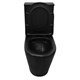 AZARIO Унитаз-компакт  Black Queen 370х605х800 безободковый, с быстросъемным сиденьем микролифт, черный матовый (AZ-8380) AZ-8380 - фото 304423