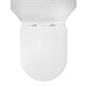 AZARIO  Унитаз-компакт  Flin 365х590х790 напольный, безободковый с быстросъемным сиденьем микролифт (AZ-1363C) AZ-1363C - фото 304460