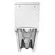 AZARIO  Унитаз-компакт  Flin 365х590х790 напольный, безободковый с быстросъемным сиденьем микролифт (AZ-1363C) AZ-1363C - фото 304464
