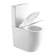 AZARIO Унитаз напольный  LUMA TORNADO FLUSHING безободковый в комплекте с бачком и сиденьем микролифт, дюропласт. 595*360*820 мм (AZ-1253ST) AZ-1253ST - фото 304559