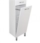 STYLE LINE Колонна Эко Стандарт 36 с бельевой корзиной ЛС-00000194 - фото 325527