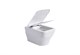 SET AQUATEK АМАДЕО KKI2 (рама AQUATEK Standard INS-0000012+крепеж KKI-0000002+унитаз АМАДЕО AQ1163-00 с тонким сиденьем soft-close) SET AQUATEK АМАДЕО KKI2 - фото 326849