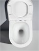 SET AQUATEK ЛИБЕРТИ (рама AQUATEK Standard INS-0000012 (без крепежа и клавиши) + унитаз ЛИБЕРТИ AQ1999T-00 с тонким сиденьем sc) SET AQUATEK ЛИБЕРТИ - фото 327380