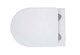 Set AQUATEK ЕВРОПА New-016 4в1 (рама AQUATEK INS-0000017+крепление KKI-0000002 +кнопка KDI-0000016 + унитаз AQ1106L-00+тонкое сиденье с механиз) Set AQUATEK ЕВРОПА New-016 4в1 - фото 327682