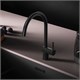AM.PM Func Смеситель для кухни с С-изливом, черный F8F07022 - фото 328009 AM.PM Func Смеситель для кухни с С-изливом, черный F8F07022 - фото 328009
