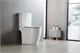 AZARIO Leo Tornado Flushing Унитаз-компакт 360х595х820 напольный, безободковый, слив "Торнадо", в комплекте с быстросъемным сиденьем микролифт (AZ-1253CT) AZ-1253CT