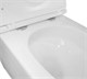 AZARIO Terso Унитаз подвесной 495x360x370 безободковый, слив "Скрытое Торнадо" с быстросъемным сиденьем "Микролифт" (AZ-092E-UQ3) AZ-092E-UQ3