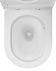 AZARIO Margo Унитаз-компакт 390х670х880 безободковый, слив Торнадо, с быстросъемным сиденьем микролифт (AZ-2125-UQ1) AZ-2125-UQ1