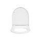IDDIS Сиденье для унитаза, полипропилен, Soft Close, , 006, (006PPSCi31) 006PPSCi31