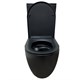 AZARIO Унитаз-компакт Cobalt-Black 610x360x805 напольный, безободковый, система смыва "скрытое Торнадо", с быстросъемным сиденьем "Микролифт", черный матовый (AZ-6089A-MB) AZ-6089A-MB
