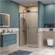 BELBAGNO Soft Close-1 Душевая дверь в нишу раздвижная ширина 120 см, профиль - оружейная сталь / стекло - прозрачное SOFT_CLOSE-1-BF-1-120-C-GM