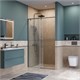 BELBAGNO Soft Close-1 Душевая дверь в нишу раздвижная ширина 120 см, профиль - оружейная сталь / стекло - прозрачное SOFT_CLOSE-1-BF-1-120-C-GM