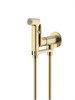 AQUATEK Alpha Комплект для гигиенического душа встроенный (смеситель + гигиеническая лейка + шланг), шлиф. золото AQ1919BG
