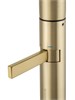 WONZON & WOGHAND Смеситель для раковины высокий , Брашированное золото (WW-6068-BG) WW-6068-BG