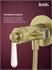 IDDIS Встраиваемый смеситель с гигиеническим душем, золото матовое, Виндзор (Windsor), WINMGR0i08 WINMGR0i08