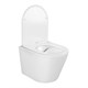 AQUATEK SET ВЕГА cmp 023/034 (рама INS-0000023 с клавишей KDI-0000034 и крепежом KKI-0000002+унитаз ВЕГА AQ1904-00 с тонким сиденьем sc) SET AQUATEK ВЕГА cmp 023/034