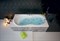 AQUATEK Мартиника  Акриловая ванна на каркасе, слив-перелив в комплекте, без панели. - фото 69079